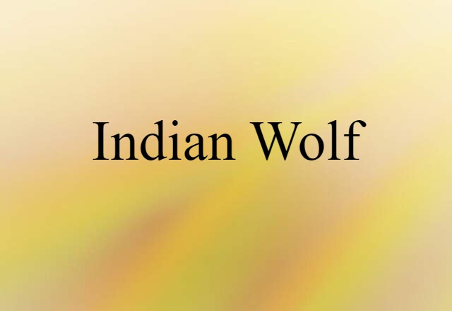 Indian wolf