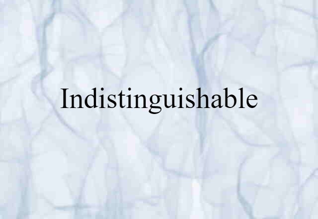 Indistinguishable (noun) Definition, Meaning & Examples