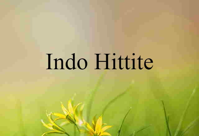 Indo Hittite