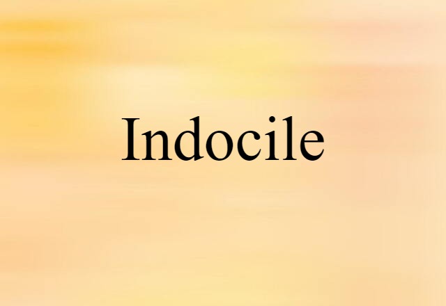 indocile