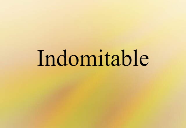 Indomitable (noun) Definition, Meaning & Examples