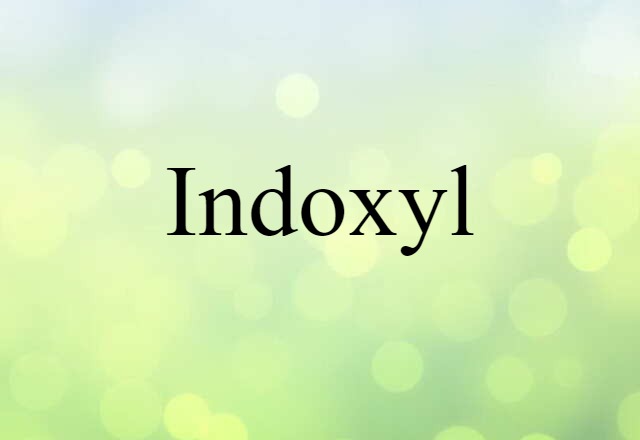 Indoxyl (noun) Definition, Meaning & Examples