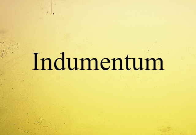 Indumentum (noun) Definition, Meaning & Examples