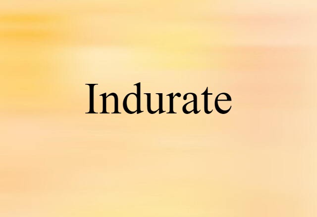 Indurate (noun) Definition, Meaning & Examples