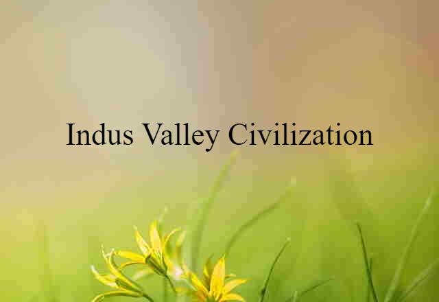 Indus valley civilization