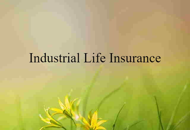 industrial life insurance