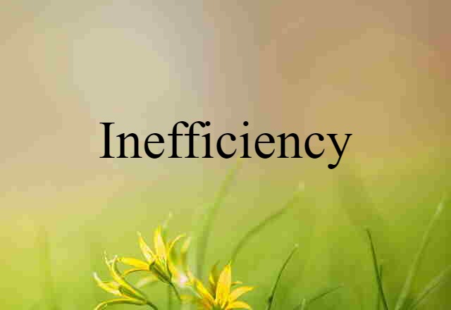 inefficiency