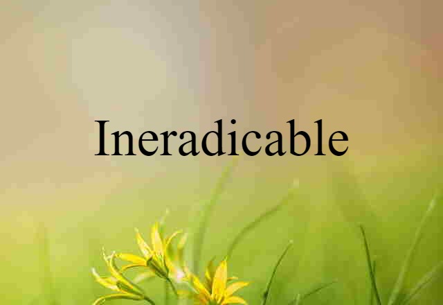 Ineradicable (noun) Definition, Meaning & Examples