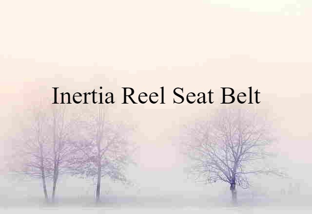 inertia-reel seat belt