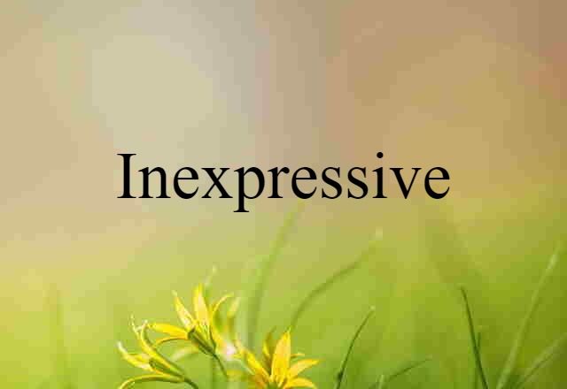 Inexpressive (noun) Definition, Meaning & Examples