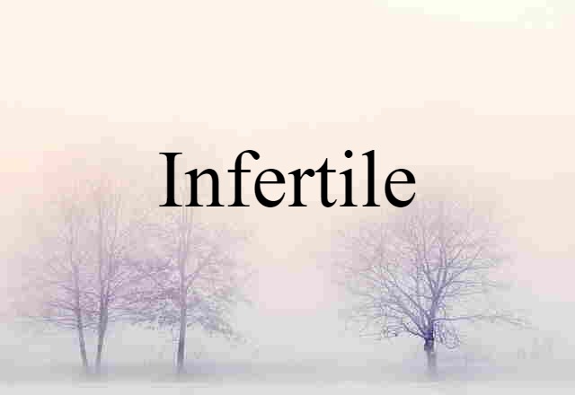 Infertile (noun) Definition, Meaning & Examples