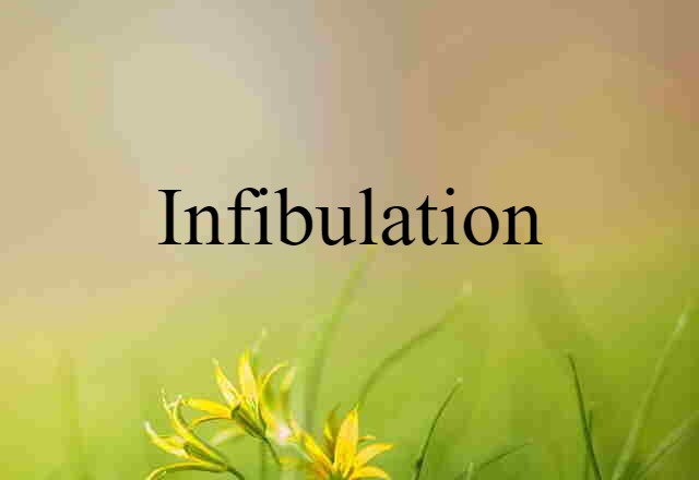 Infibulation (noun) Definition, Meaning & Examples