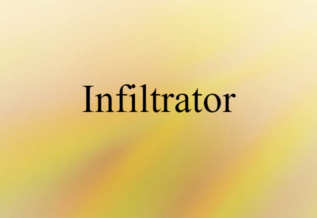 Infiltrator (noun) Definition, Meaning & Examples