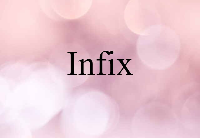 Infix (noun) Definition, Meaning & Examples