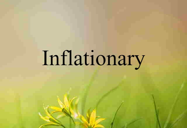 Inflationary (noun) Definition, Meaning & Examples