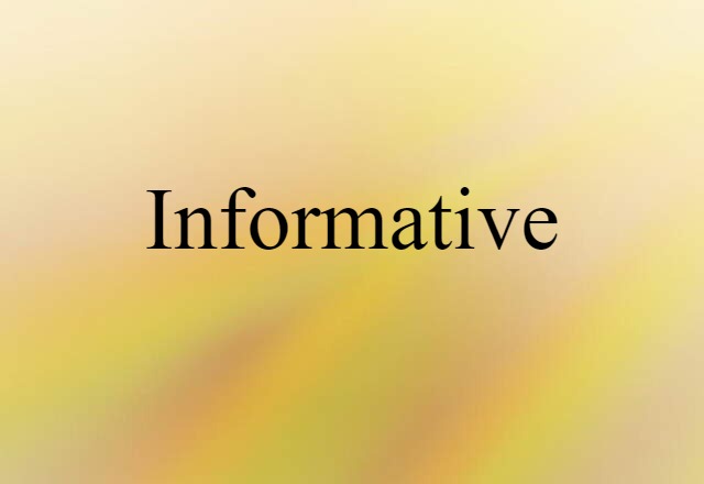 Informative (noun) Definition, Meaning & Examples