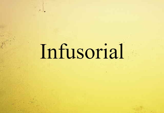 Infusorial (noun) Definition, Meaning & Examples