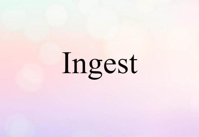 Ingest (noun) Definition, Meaning & Examples