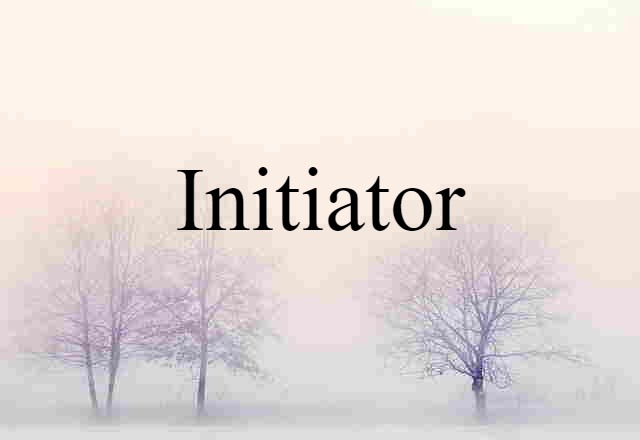 Initiator (noun) Definition, Meaning & Examples