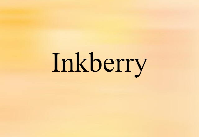 Inkberry (noun) Definition, Meaning & Examples