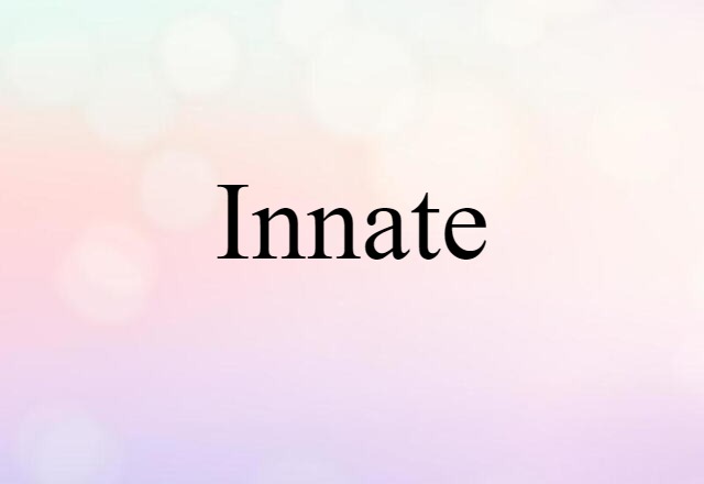 Innate (noun) Definition, Meaning & Examples