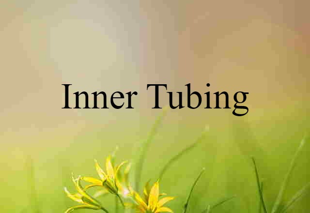 Inner Tubing (noun) Definition, Meaning & Examples