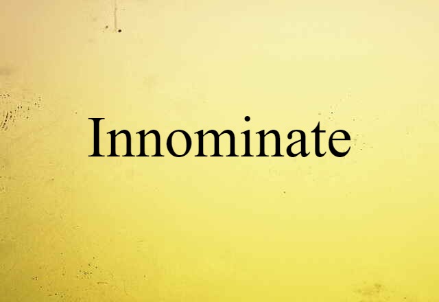 Innominate (noun) Definition, Meaning & Examples