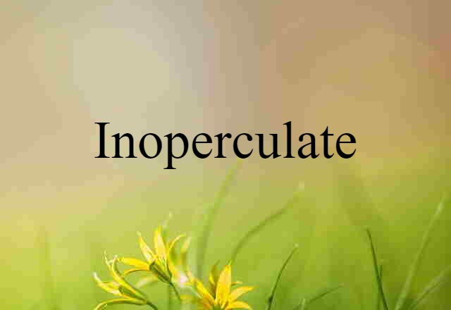 Inoperculate (noun) Definition, Meaning & Examples