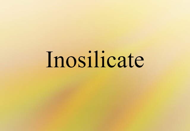 Inosilicate (noun) Definition, Meaning & Examples