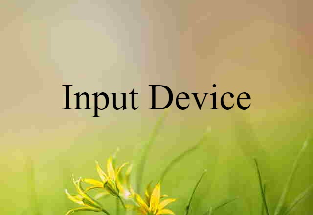 input device