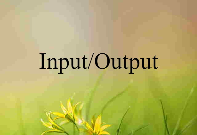 Input/output (noun) Definition, Meaning & Examples