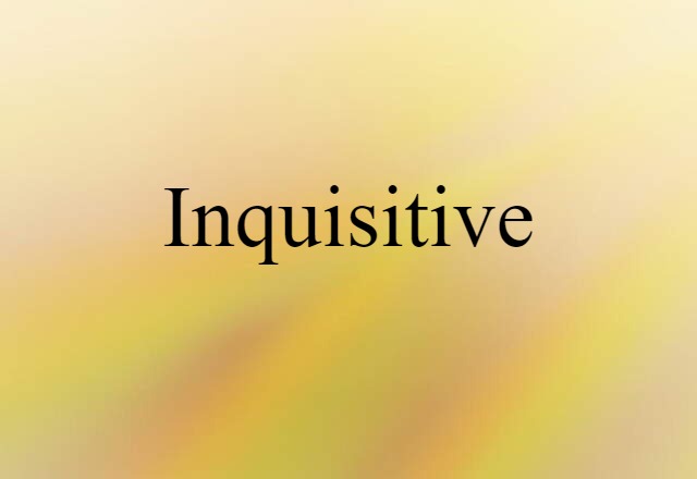 Inquisitive (noun) Definition, Meaning & Examples