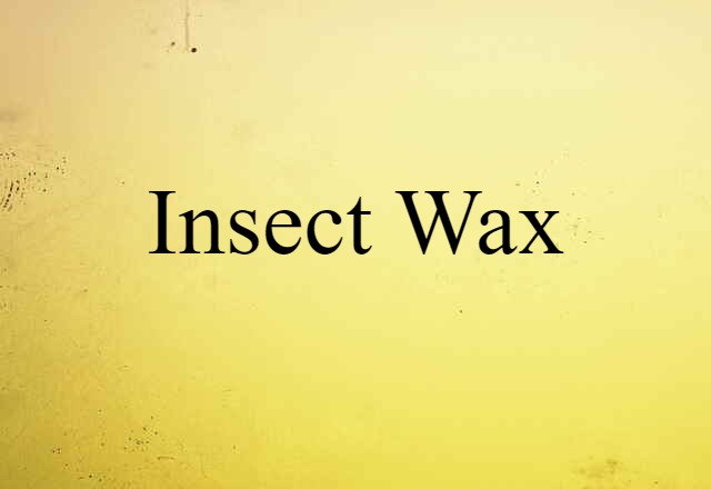 insect wax