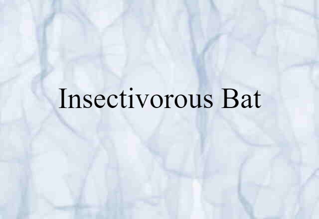 Insectivorous Bat (noun) Definition, Meaning & Examples