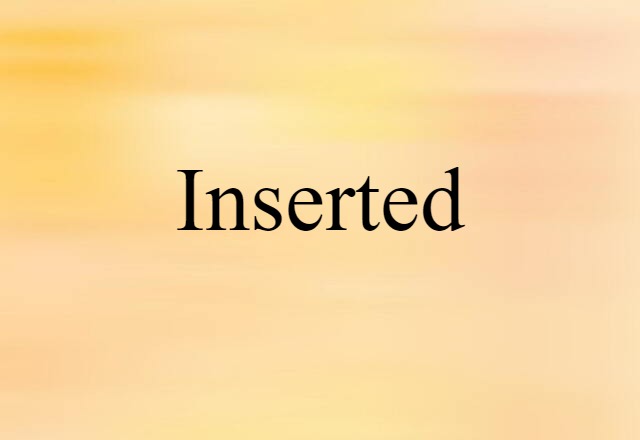 Inserted (noun) Definition, Meaning & Examples