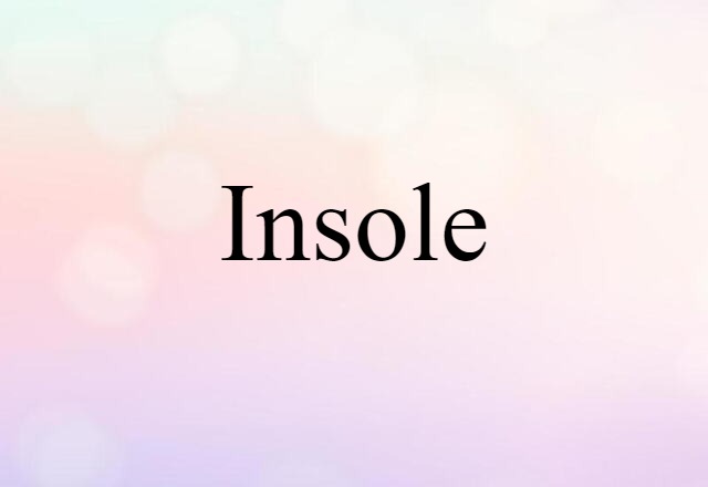 insole