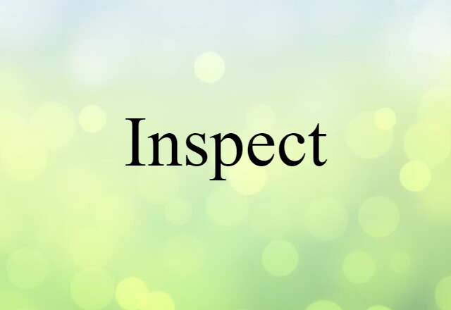 Inspect (noun) Definition, Meaning & Examples