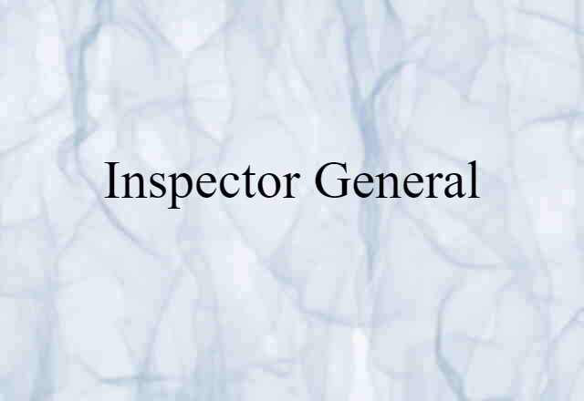 inspector general