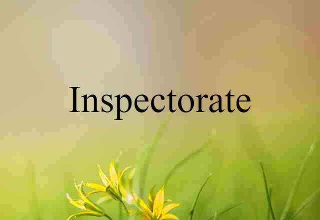 Inspectorate (noun) Definition, Meaning & Examples