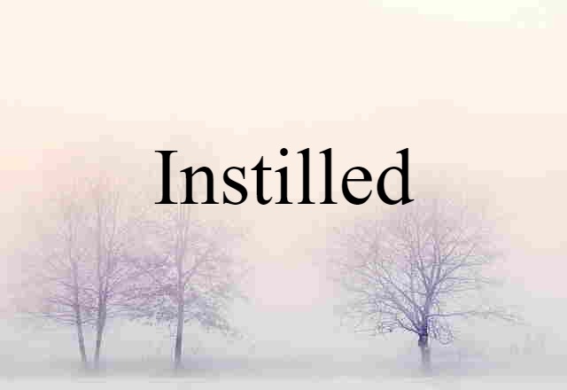 Instilled (noun) Definition, Meaning & Examples