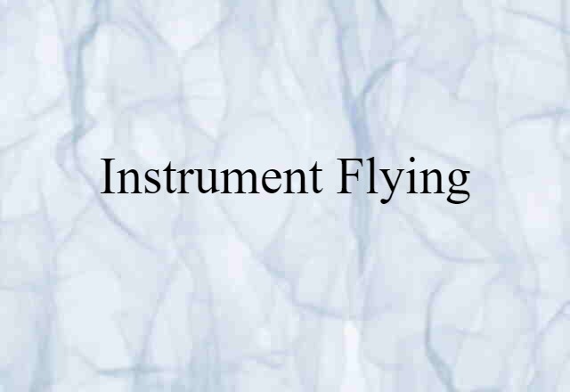 Instrument Flying (noun) Definition, Meaning & Examples