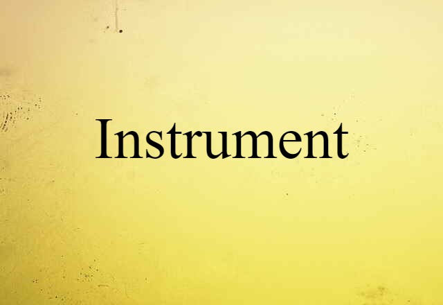 Instrument (noun) Definition, Meaning & Examples