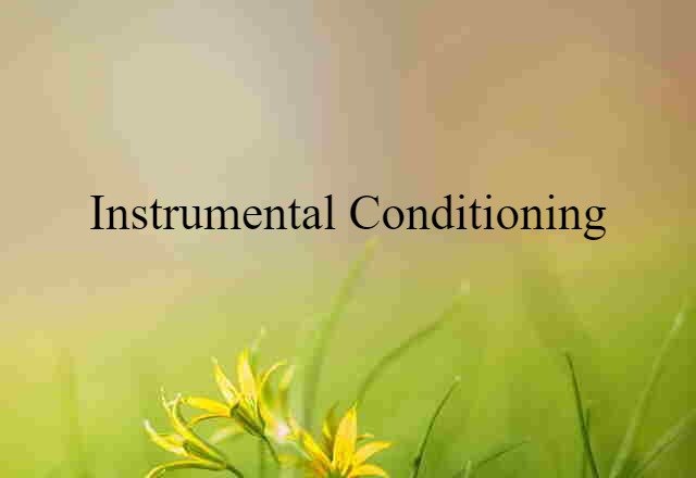 Instrumental Conditioning (noun) Definition, Meaning & Examples