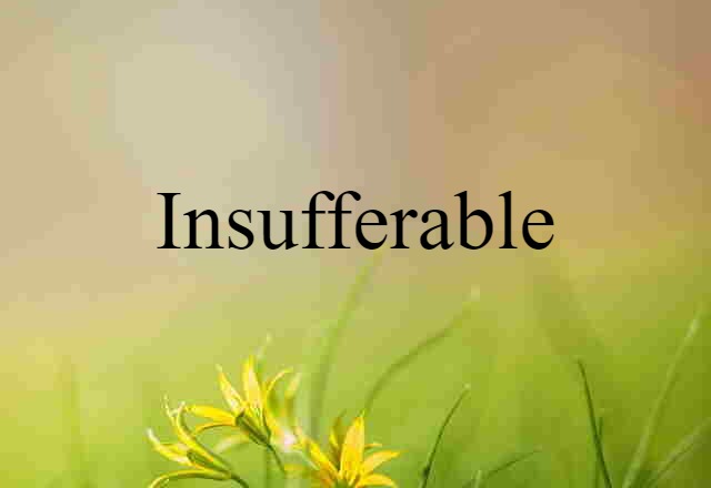 insufferable