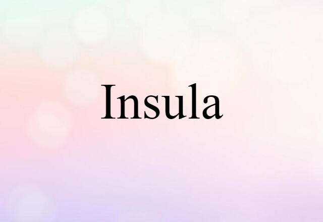 Insula (noun) Definition, Meaning & Examples