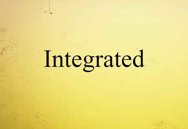 Integrated (noun) Definition, Meaning & Examples