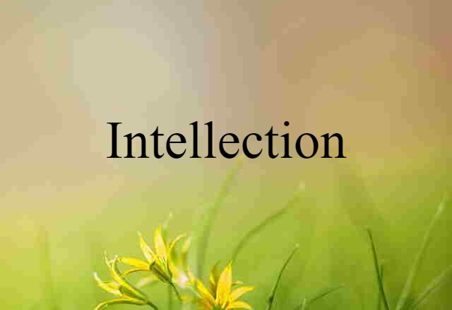 Intellection (noun) Definition, Meaning & Examples