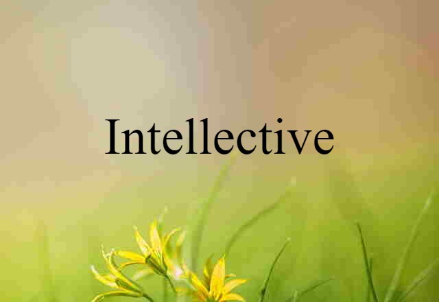 Intellective (noun) Definition, Meaning & Examples