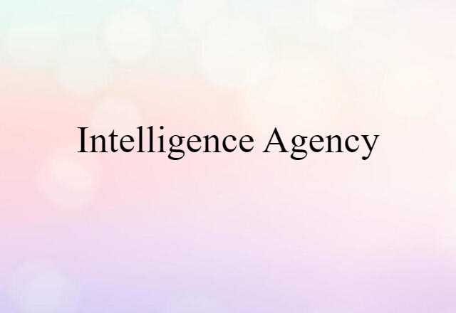 Intelligence Agency (noun) Definition, Meaning & Examples