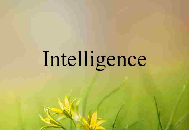 intelligence